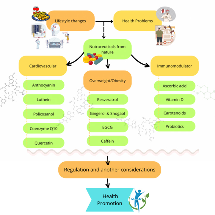 Graphical Abstract